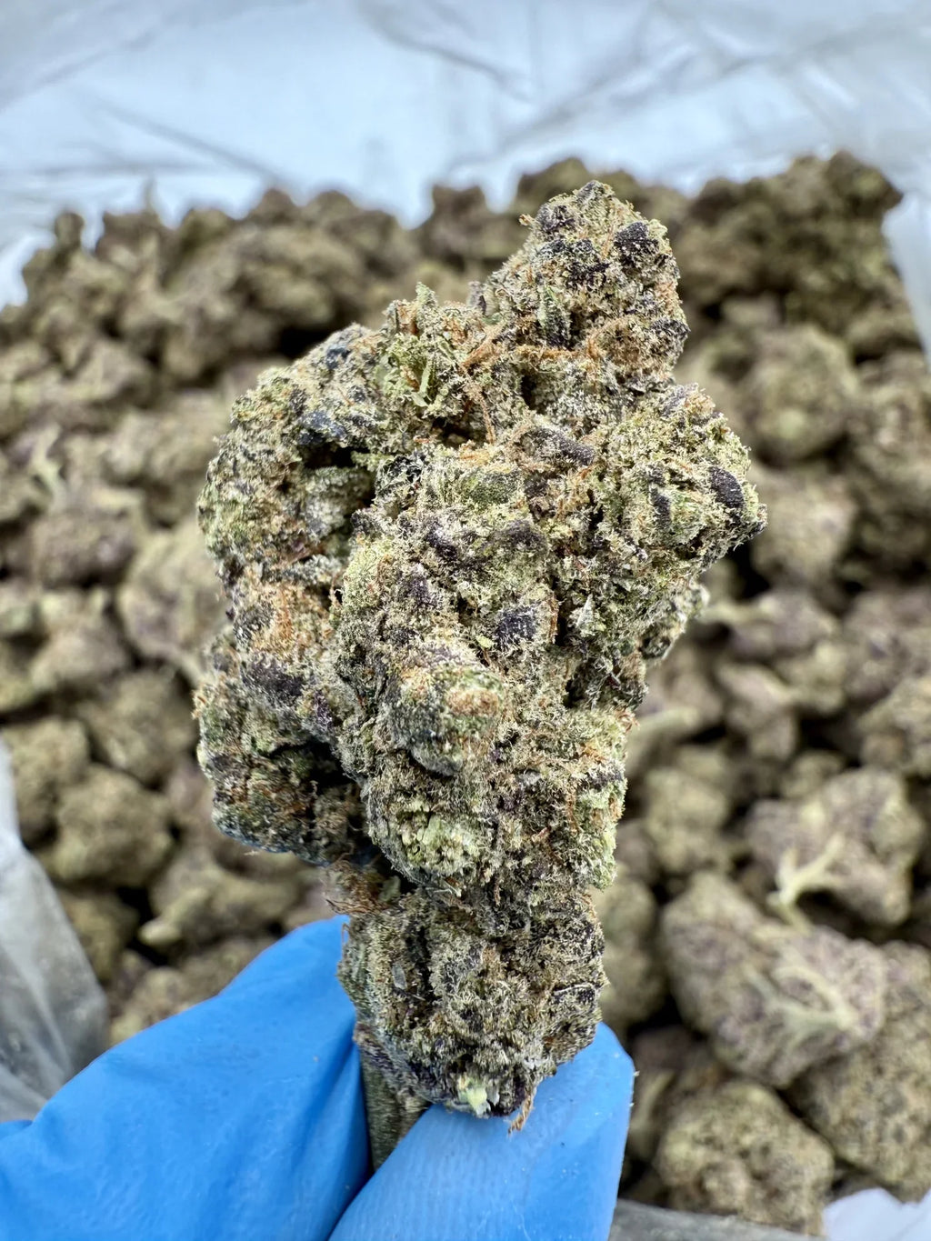 Diamonds THCA Flower - Stoner Exotic - Stoner