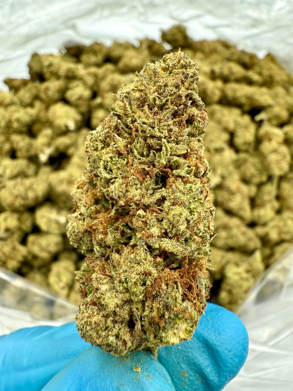 Hash Burger THCA Flower - Stoner Premium - Stoner