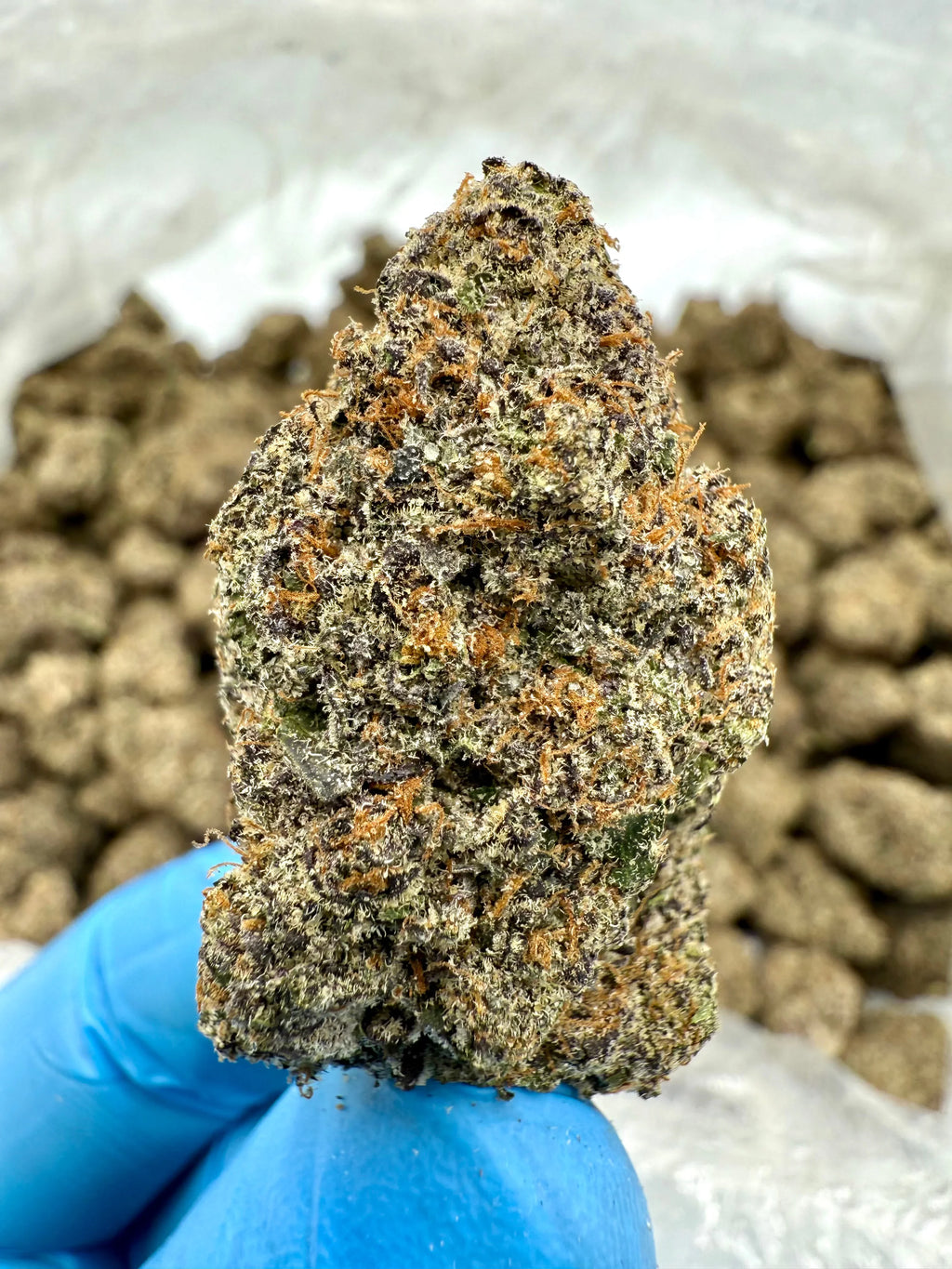 Insane Pound Cake THCA Flower - Stoner Exotic - Stoner