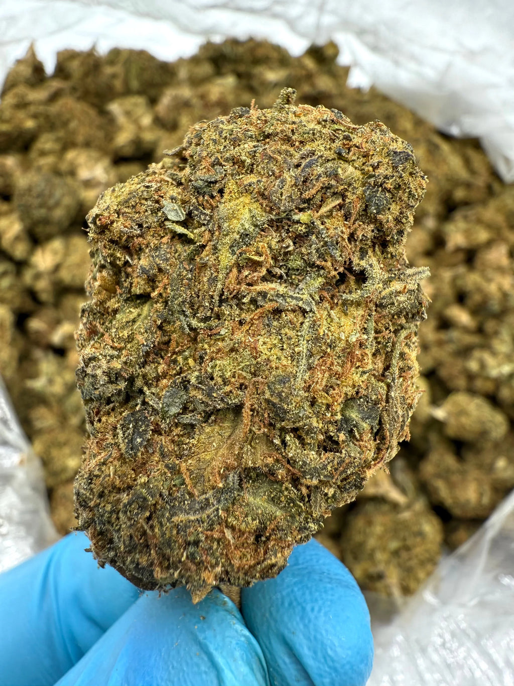 Kush Mintz THCA Flower - Stoner Classic - Stoner