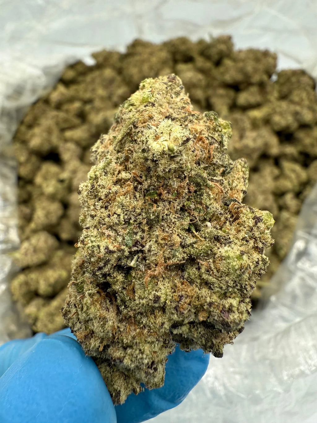 Trapzilla THCA Flower - Stoner Exotic - Stoner